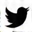 Twitter icon